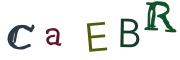 Resimli CAPTCHA
